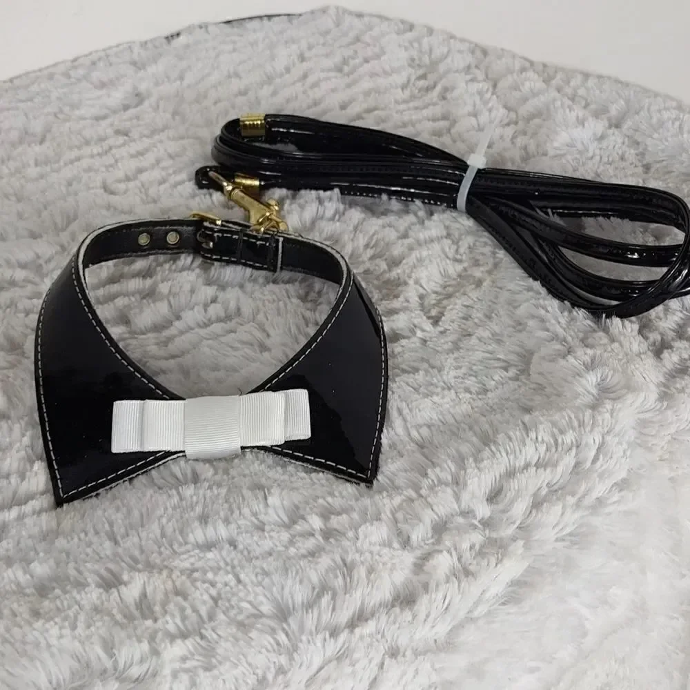 Dog Collar & Leash 12
